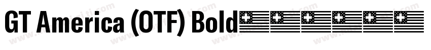 GT America (OTF) Bold字体转换